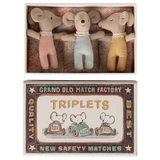 Triplets, Baby Mice in Matchbox