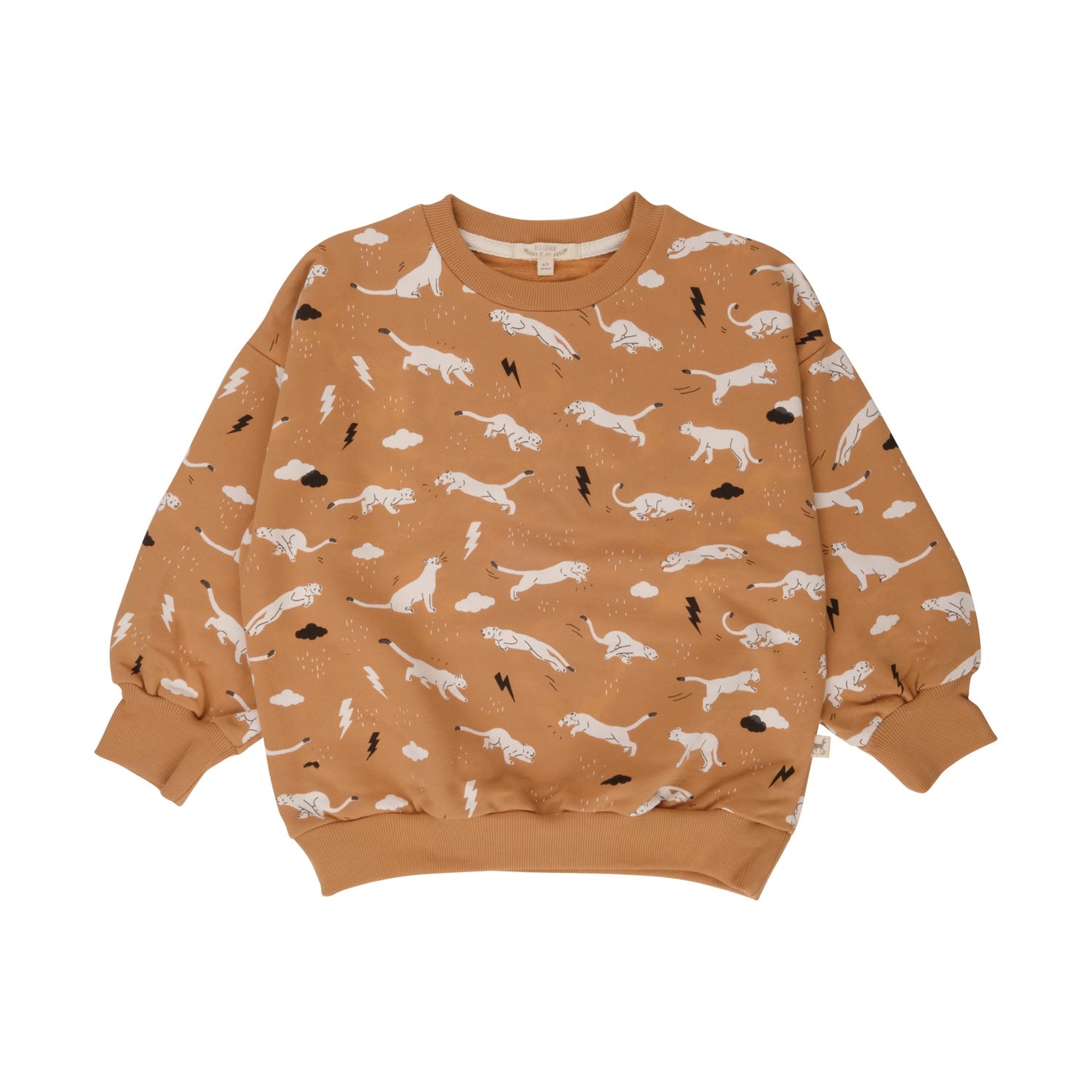 Sweatshirt (Thunder Puma)