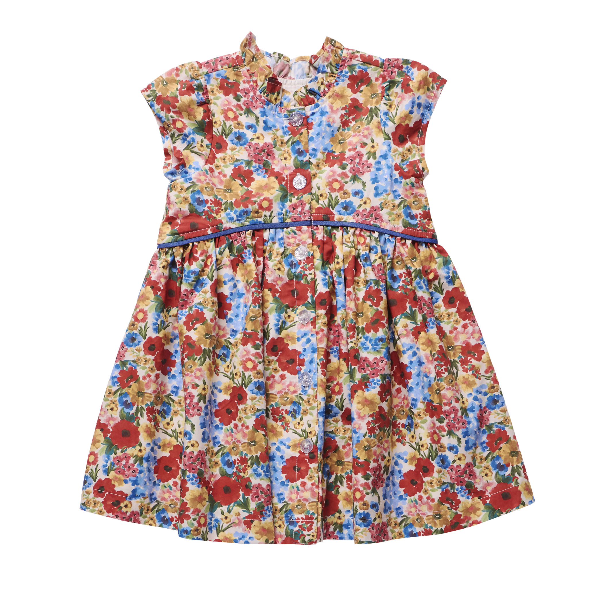 Girls Fatima Dress (Watercolor Meadow)