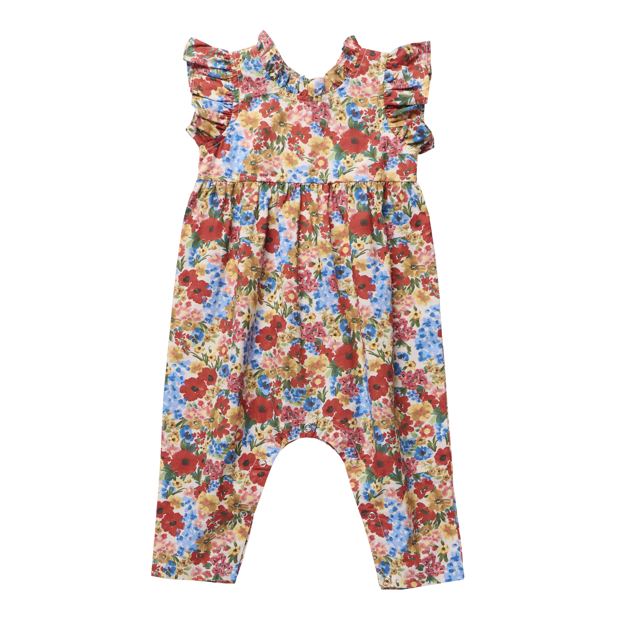 Baby Girls Jennifer Jumper (Watercolor Meadow)