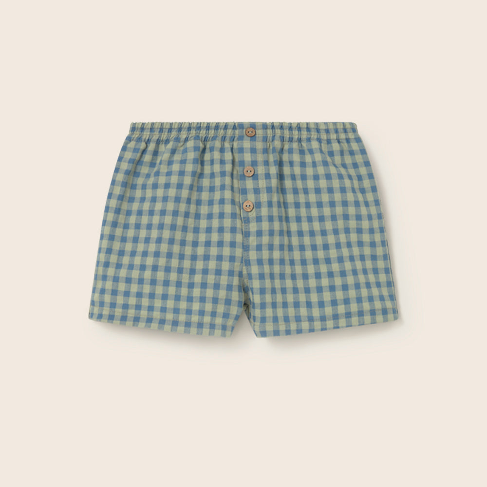 Gingham Cotton Shorts (Blue)