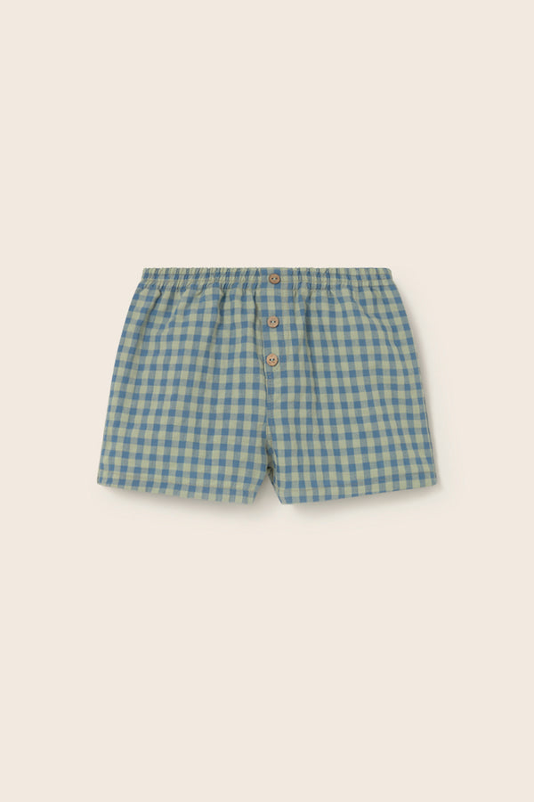 Gingham Cotton Shorts (Blue)
