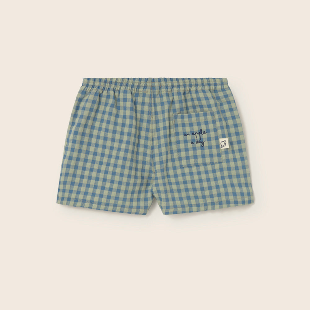 Gingham Cotton Shorts (Blue)