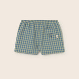 Gingham Cotton Shorts (Blue)