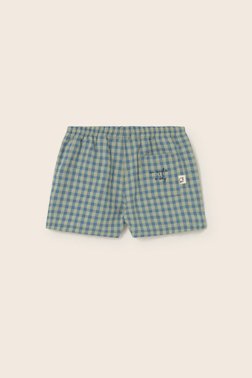 Gingham Cotton Shorts (Blue)