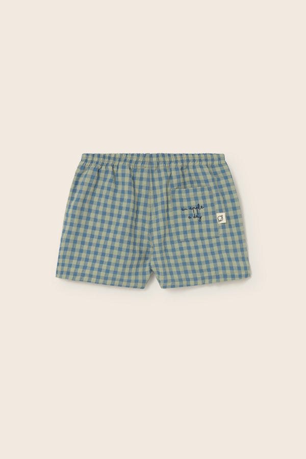 Gingham Cotton Shorts (Blue)