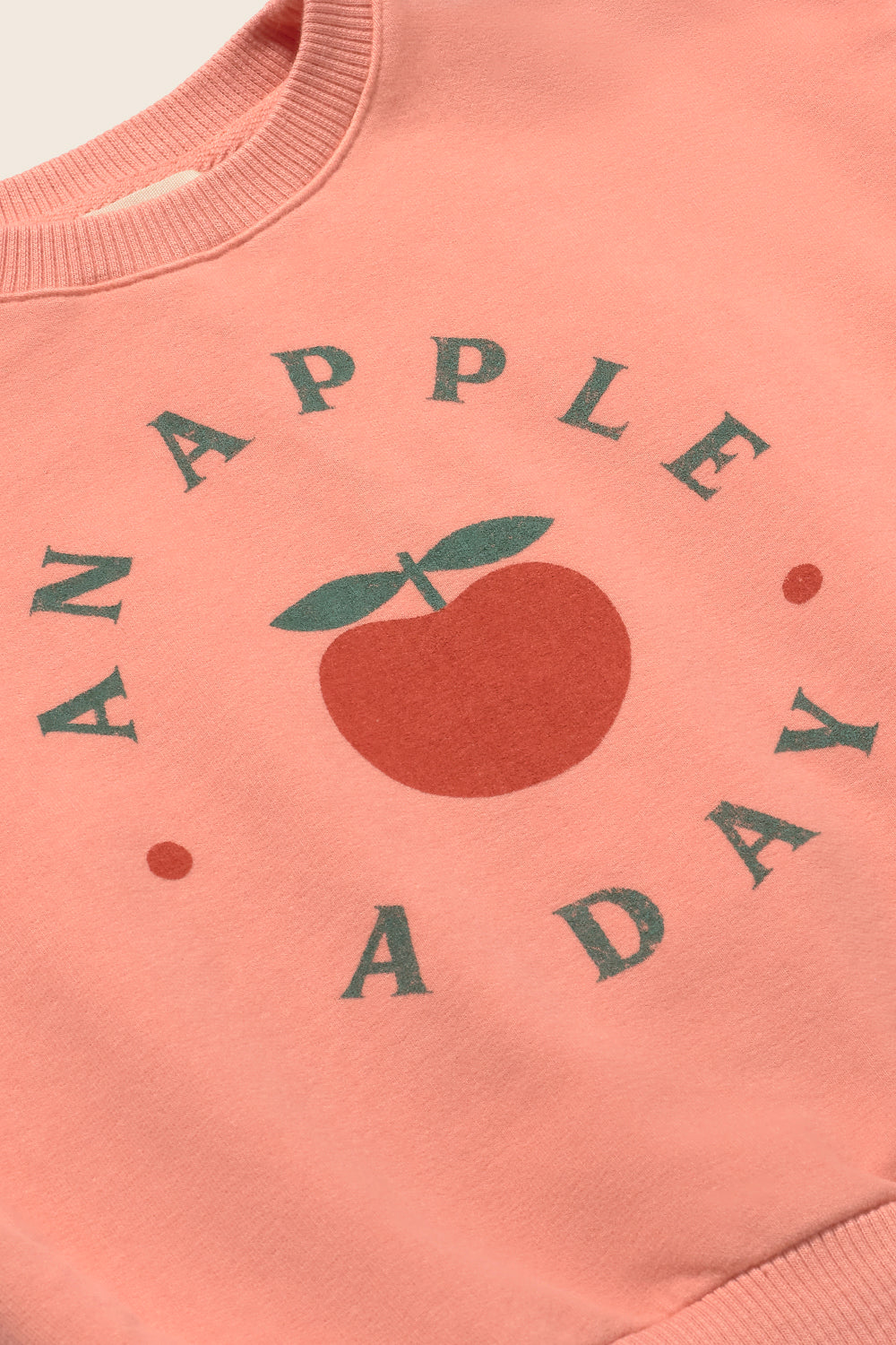 Soft Fleece Print Ruffle Sweatshirt (Rose)