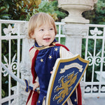 Knight Sword and Shield (Midnight Navy)