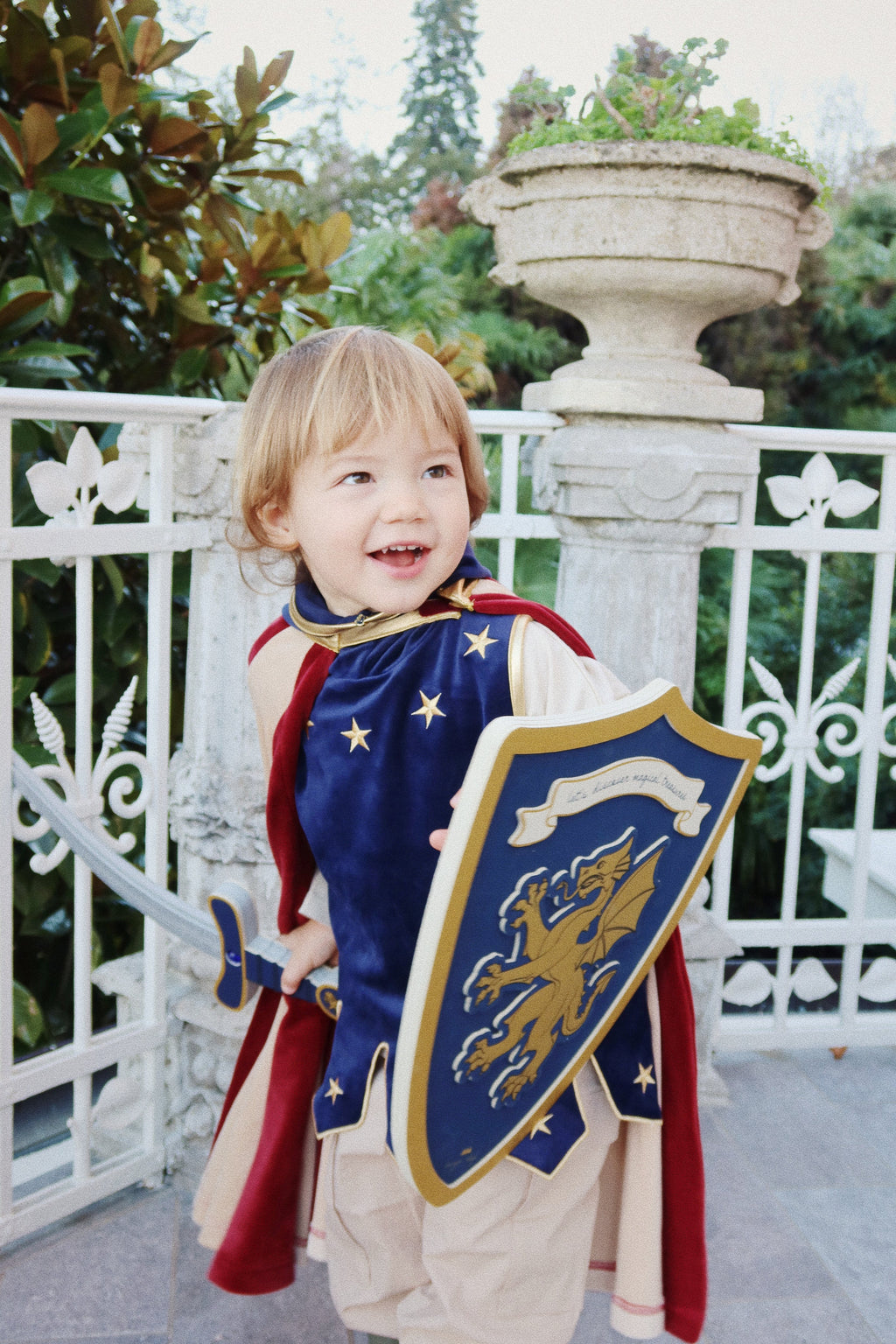 Knight Sword and Shield (Midnight Navy)