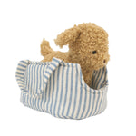 Toffee the Puppy & Carrier