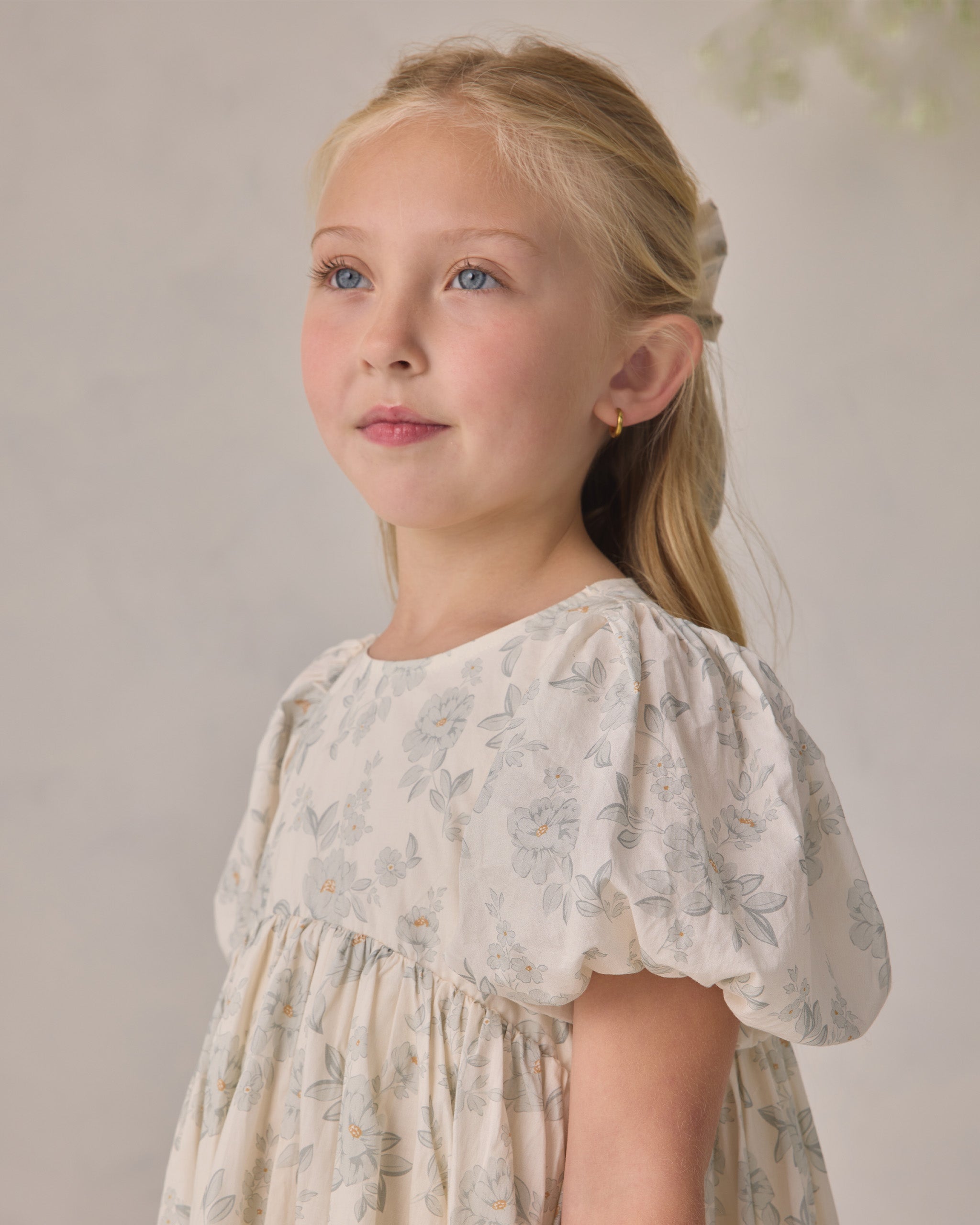 Luna Dress (Mist English Rose)
