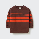 Baby Sweatshirt (Chocolate)
