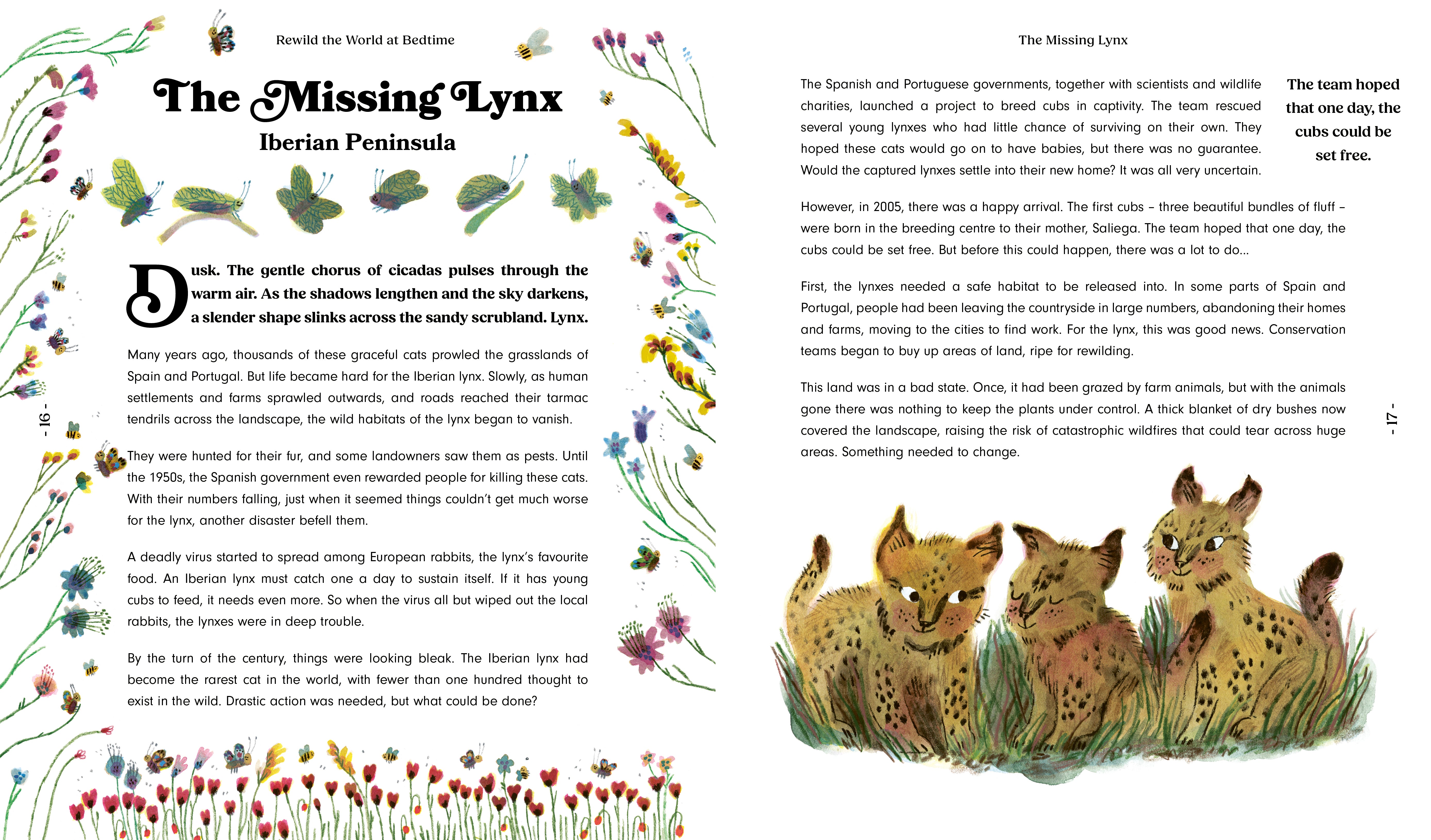 Rewild the World at Bedtime