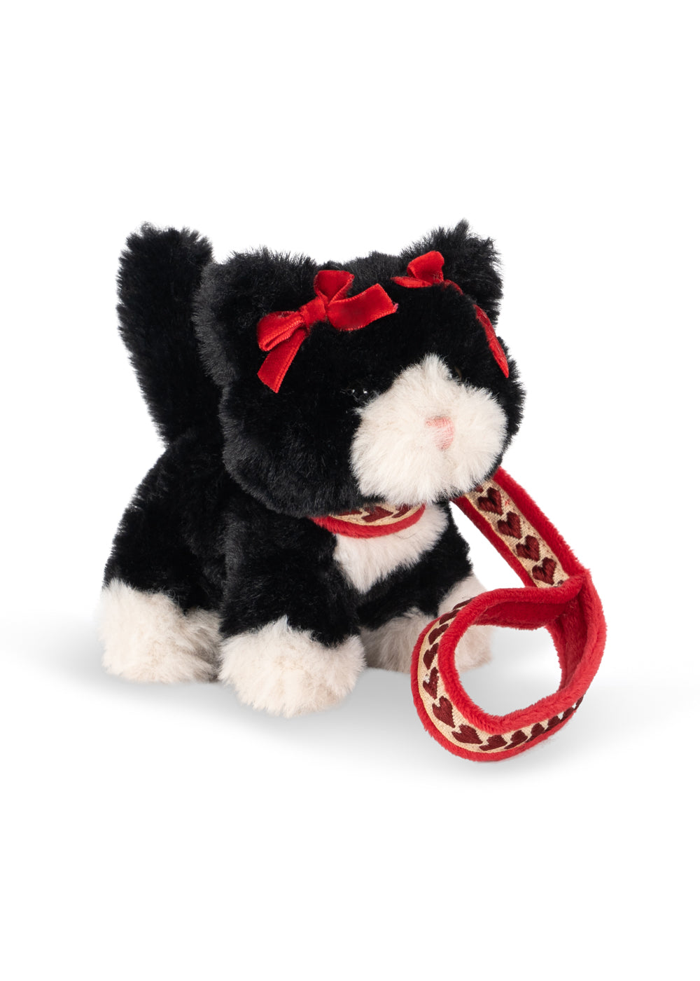 Pet Kitty (Black Beauty)