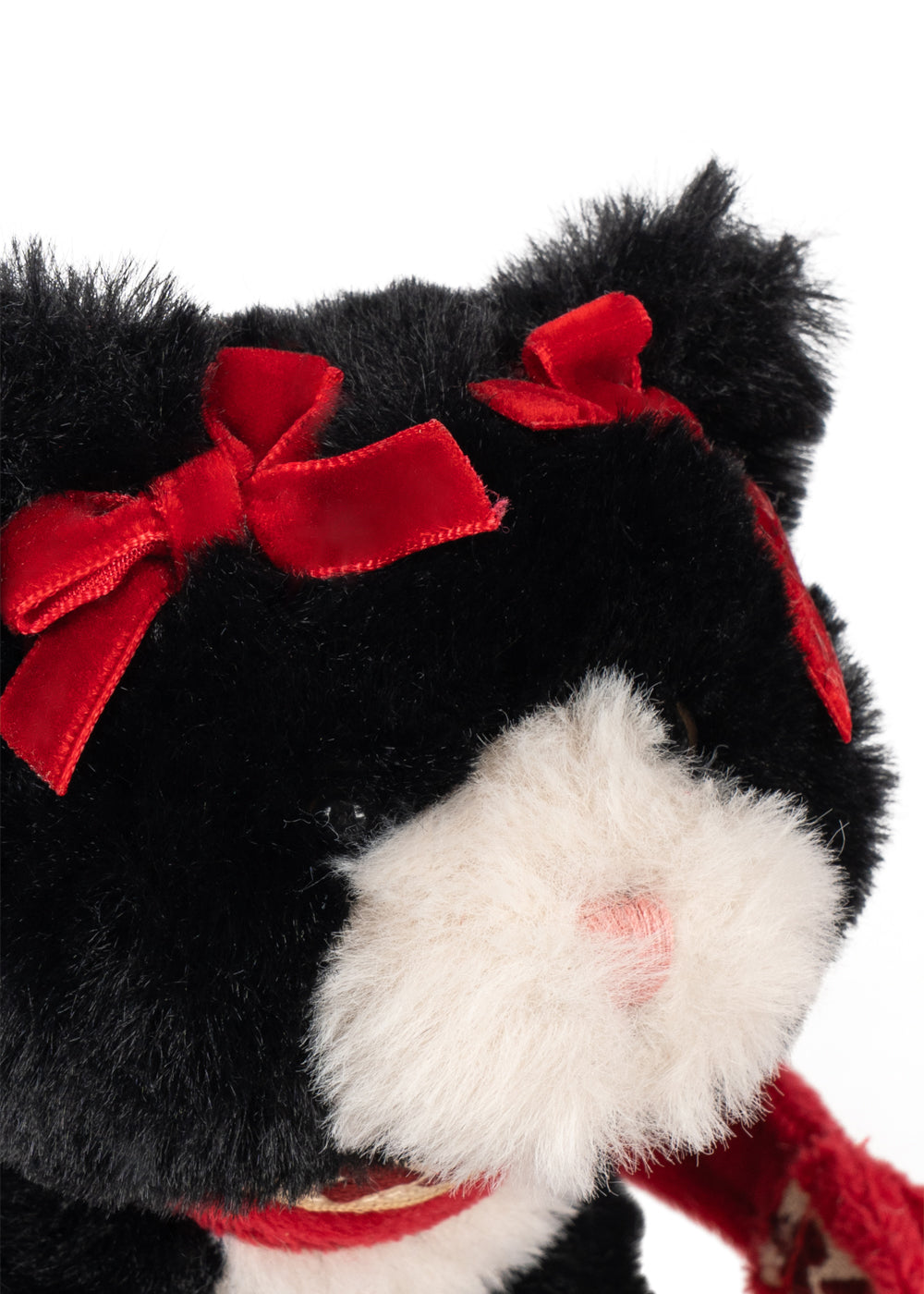 Pet Kitty (Black Beauty)