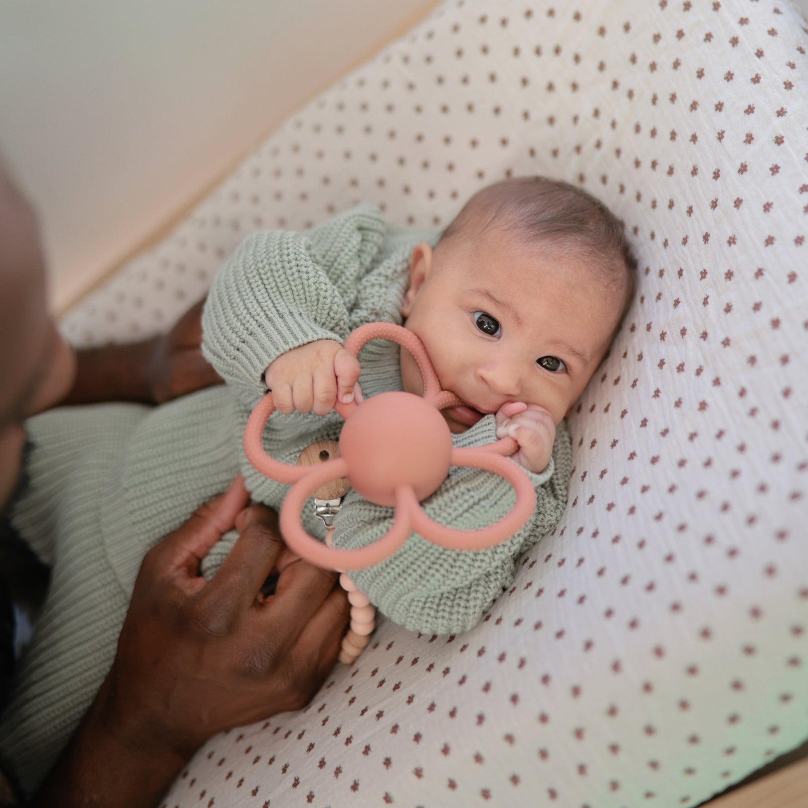 Daisy Rattle (Dusty Rose)