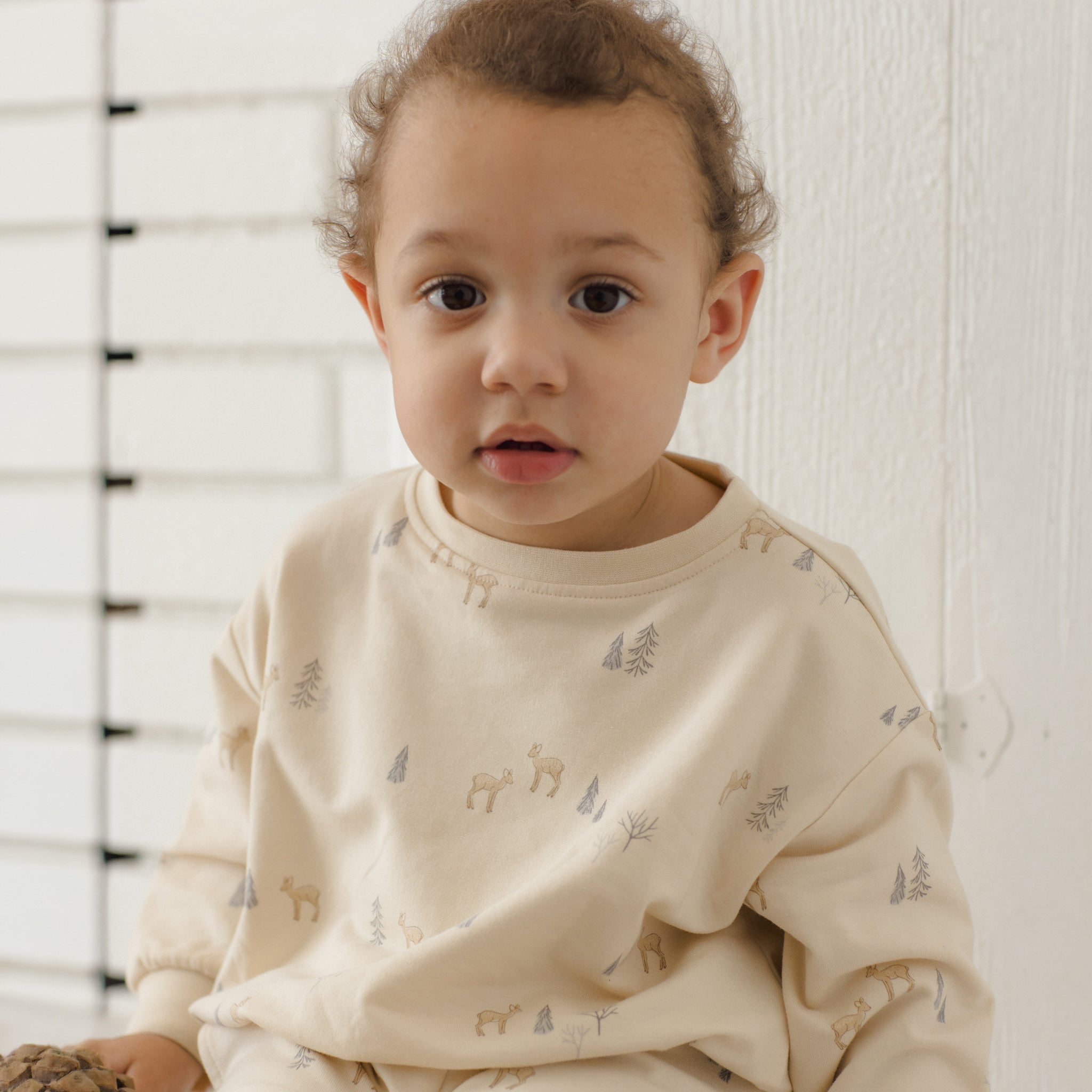 Relaxed Sweatshirt (Deer)
