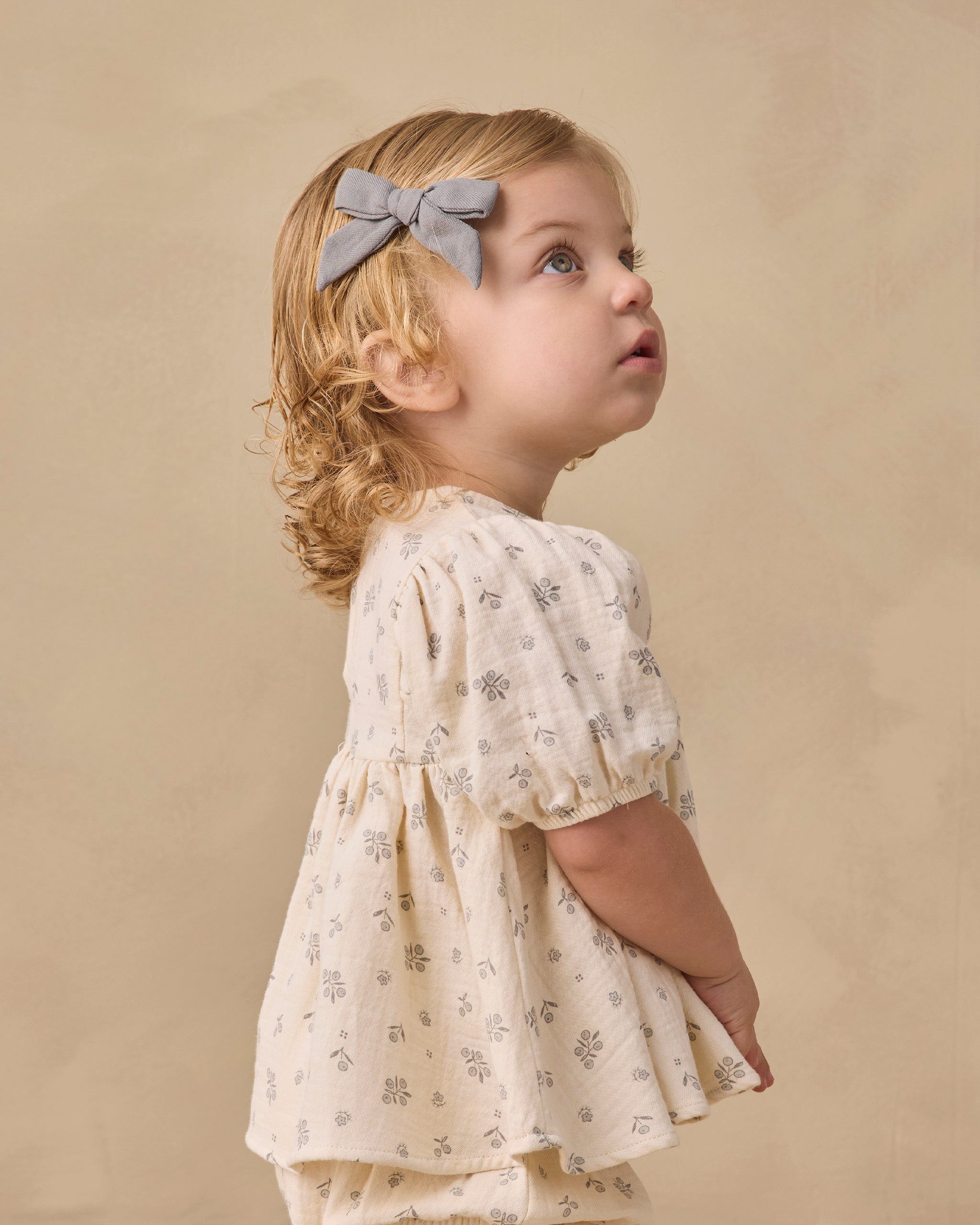 Francy Set (Winter Berry)