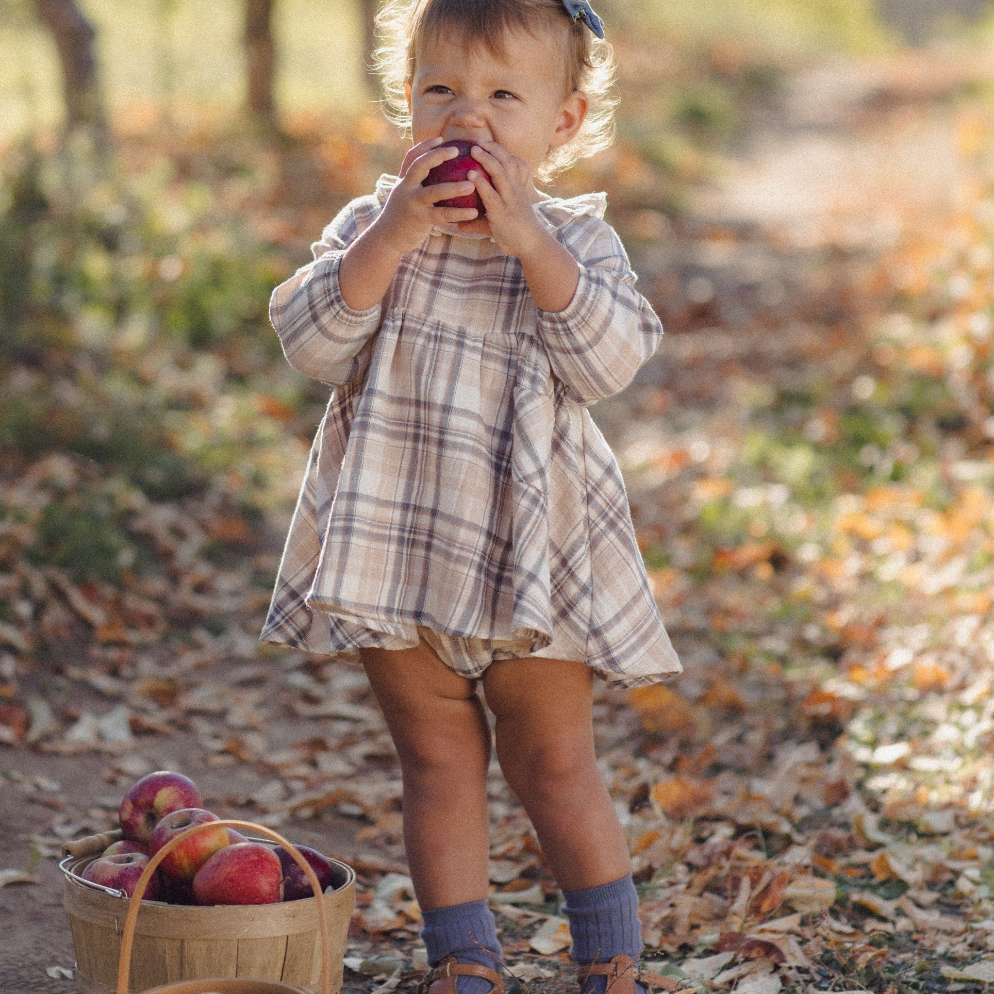 Simone Dress (Fall Plaid)