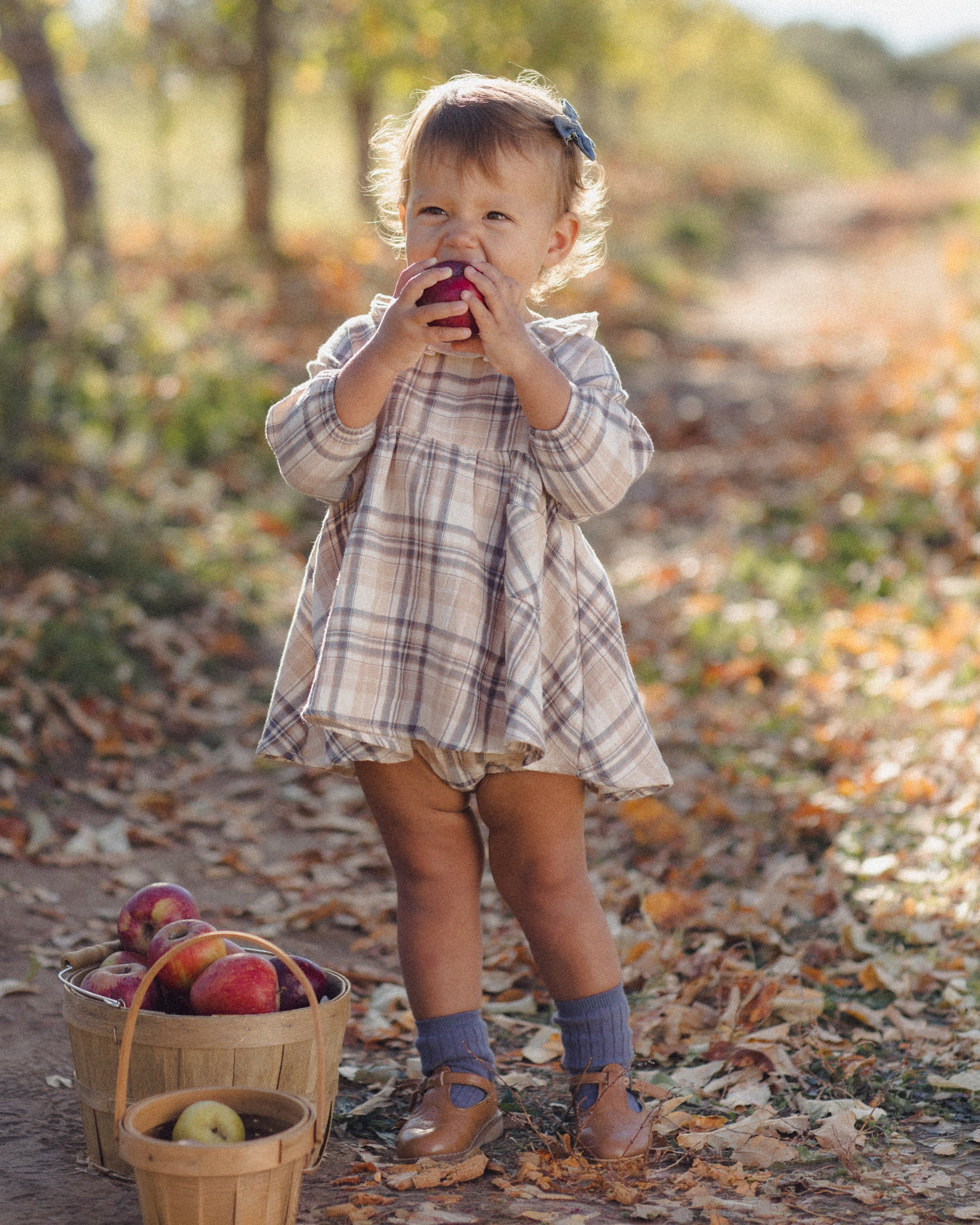 Simone Dress (Fall Plaid)