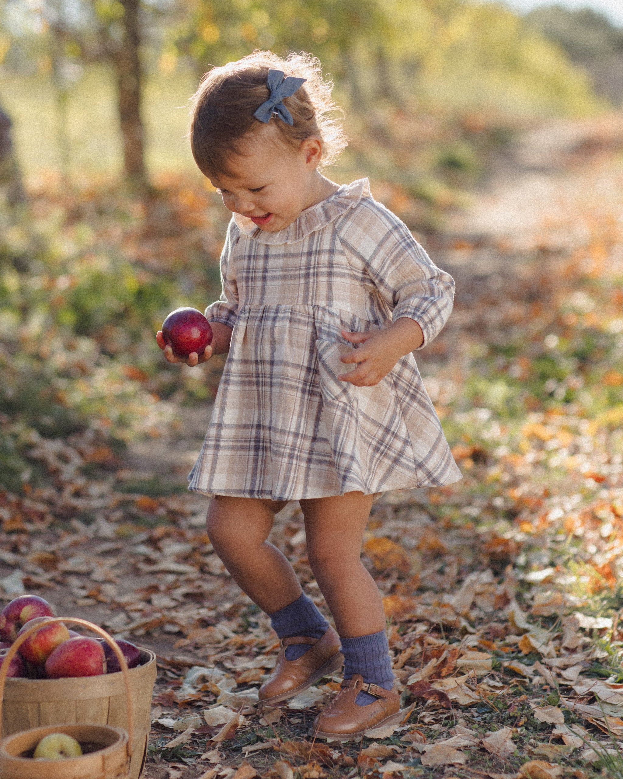 Simone Dress (Fall Plaid)