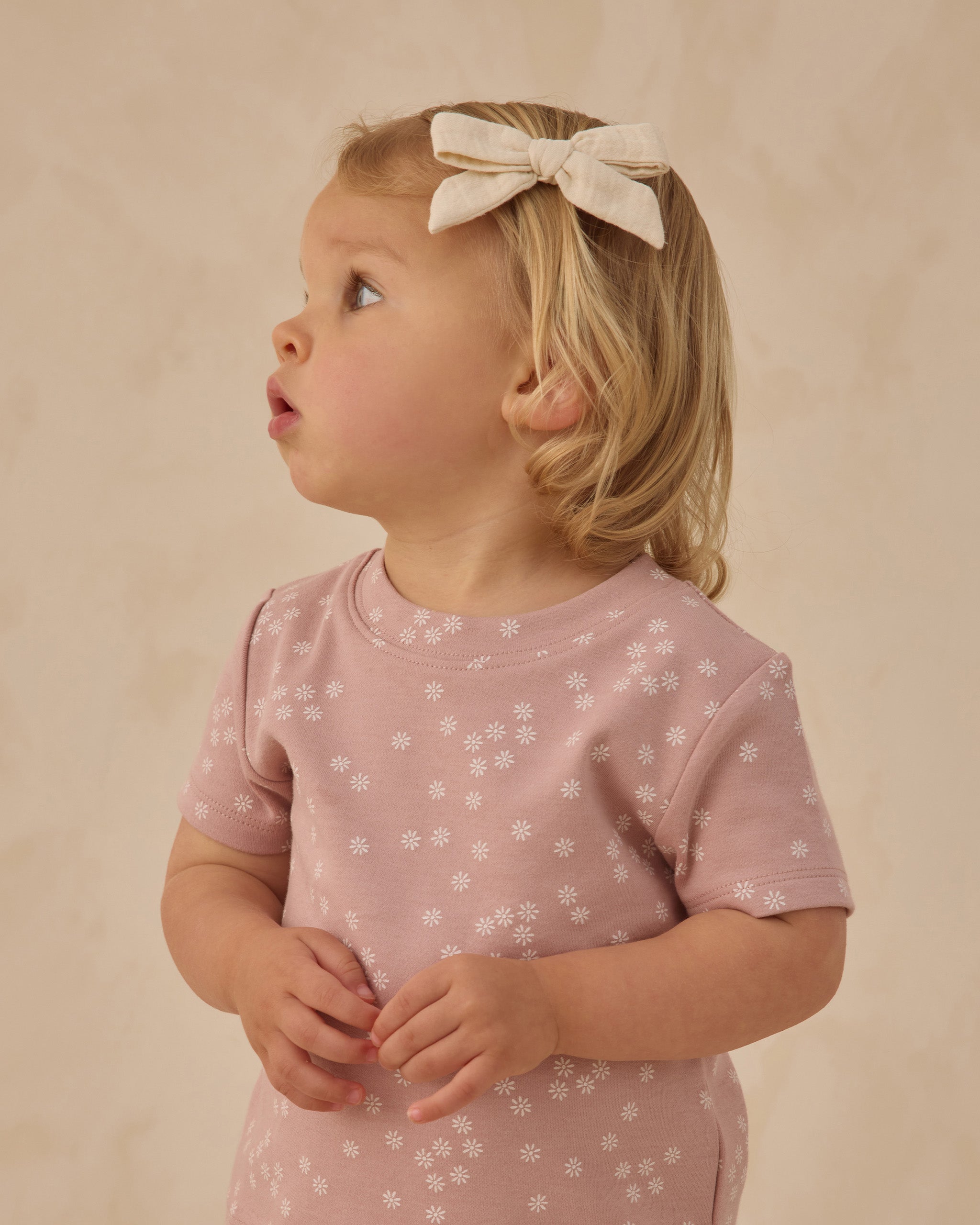 Set of 3 Bows with Clip (Natural, Mauve, Sage)