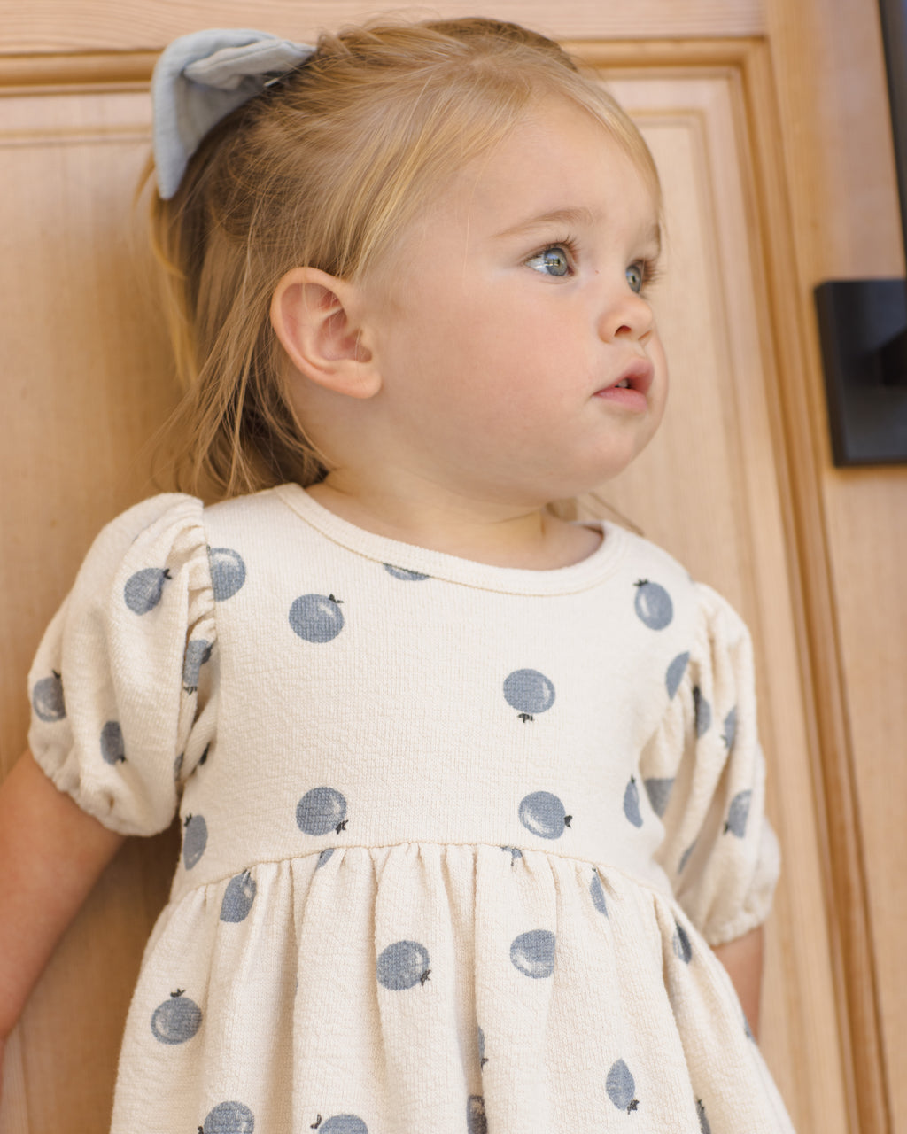 Darla Dress (Blueberries)