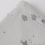 Finn Rashguard + Short Set (Fish)