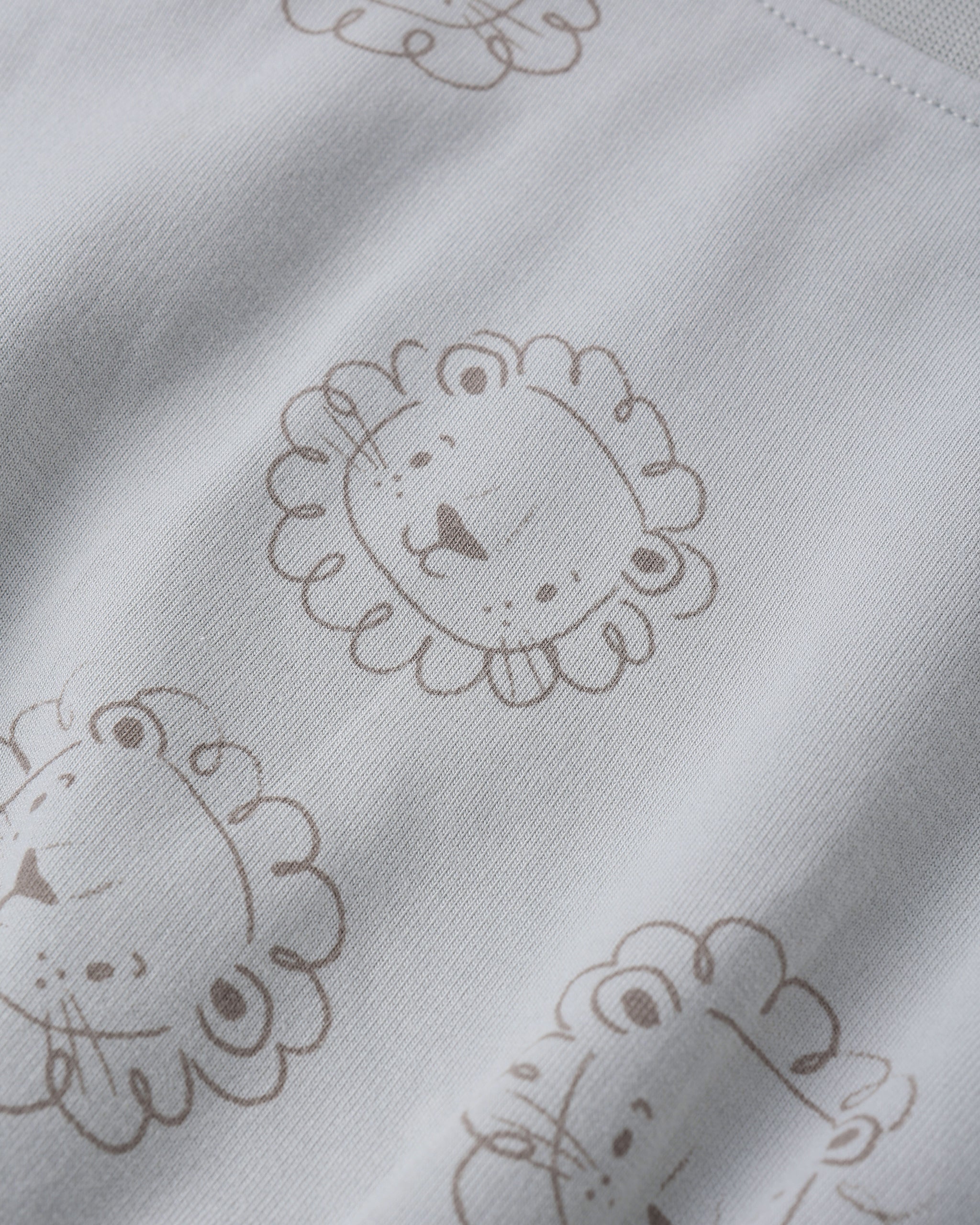 Relaxed Sweatshirt (Lions)