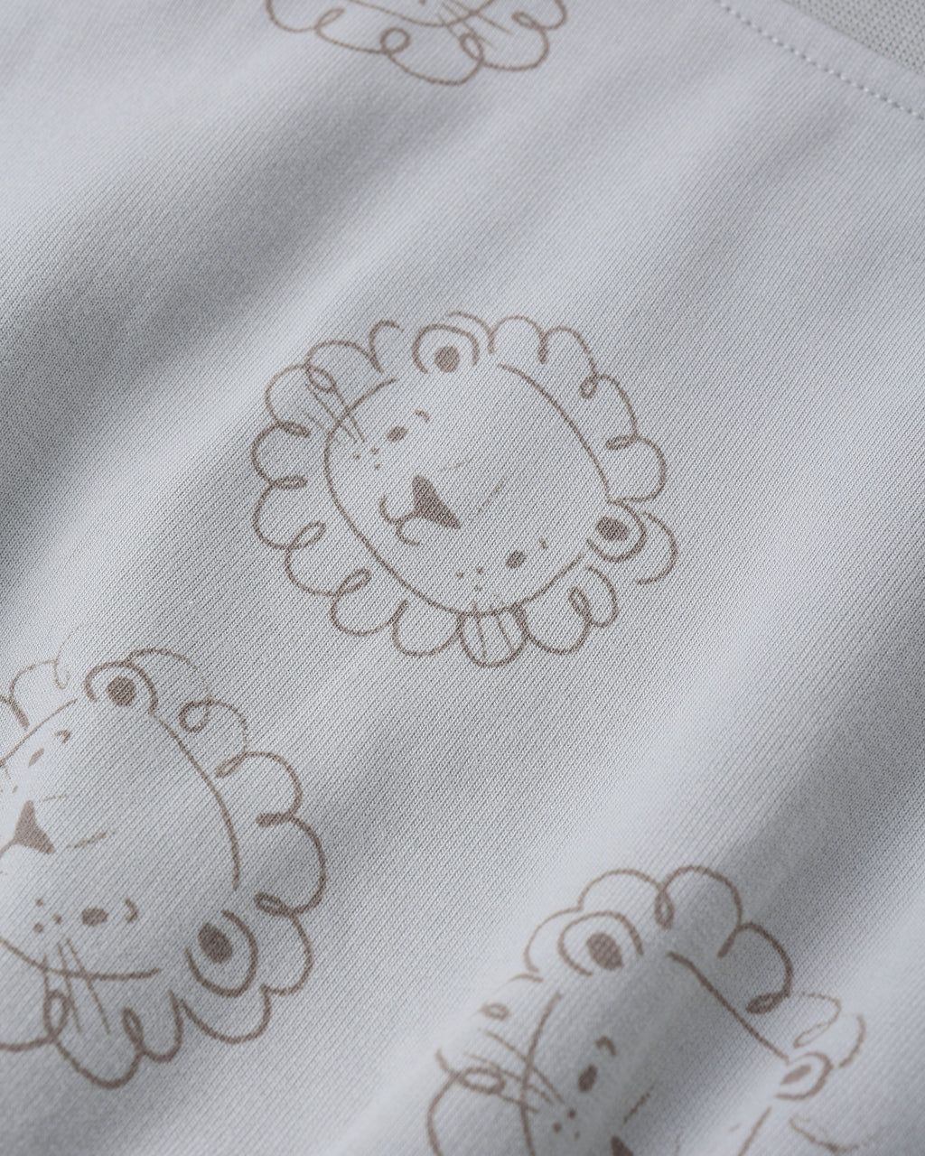 Relaxed Sweatshirt (Lions)