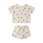 Spongy Play Set (Blueberries)