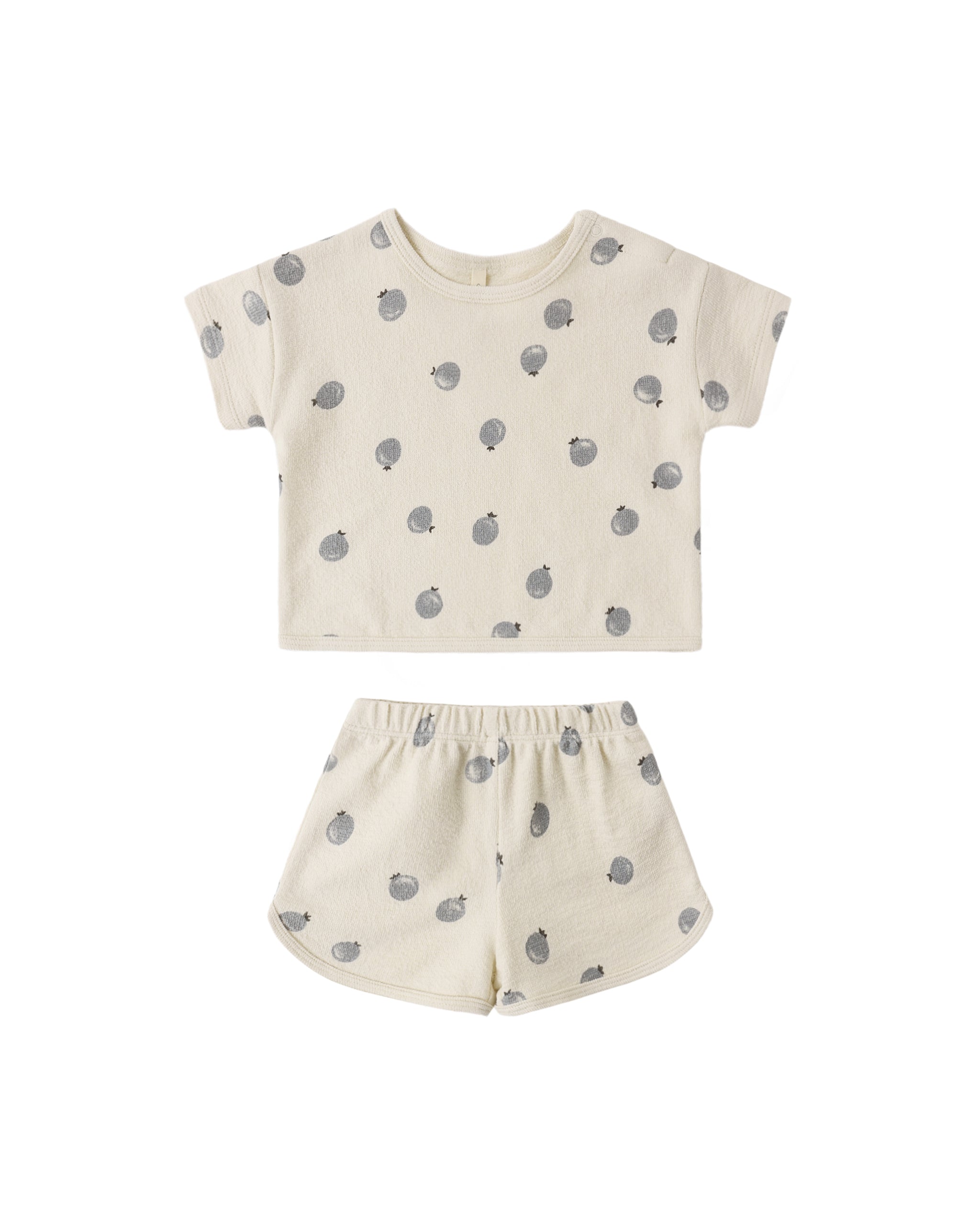 Spongy Play Set (Blueberries)