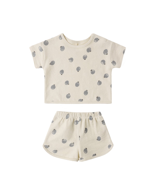 Spongy Play Set (Blueberries)