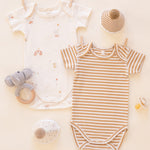 Short Sleeve Bodysuit Pack (Carnival, Honey Stripe)