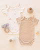 Short Sleeve Bodysuit Pack (Carnival, Honey Stripe)