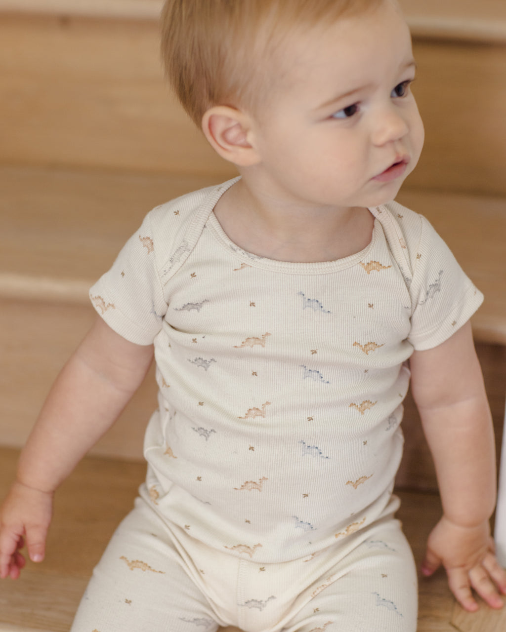 Ribbed Short Sleeve Tee + Legging Set (Dinos)