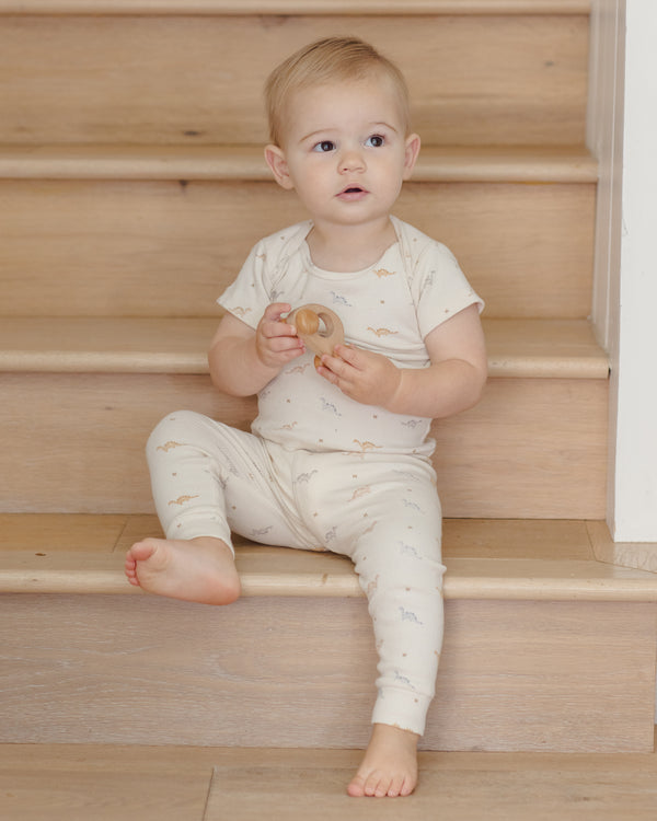 Ribbed Short Sleeve Tee + Legging Set (Dinos)