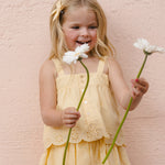 Set of 2 Bows (Lemon)