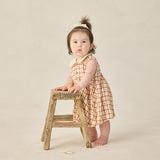 Collared Babydoll Dress (Cherry Check)