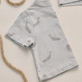 Play Set (Seals)