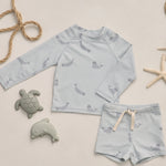 Boys Rashguard Set (Seals)