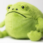 Ricky Rain Frog (Medium)