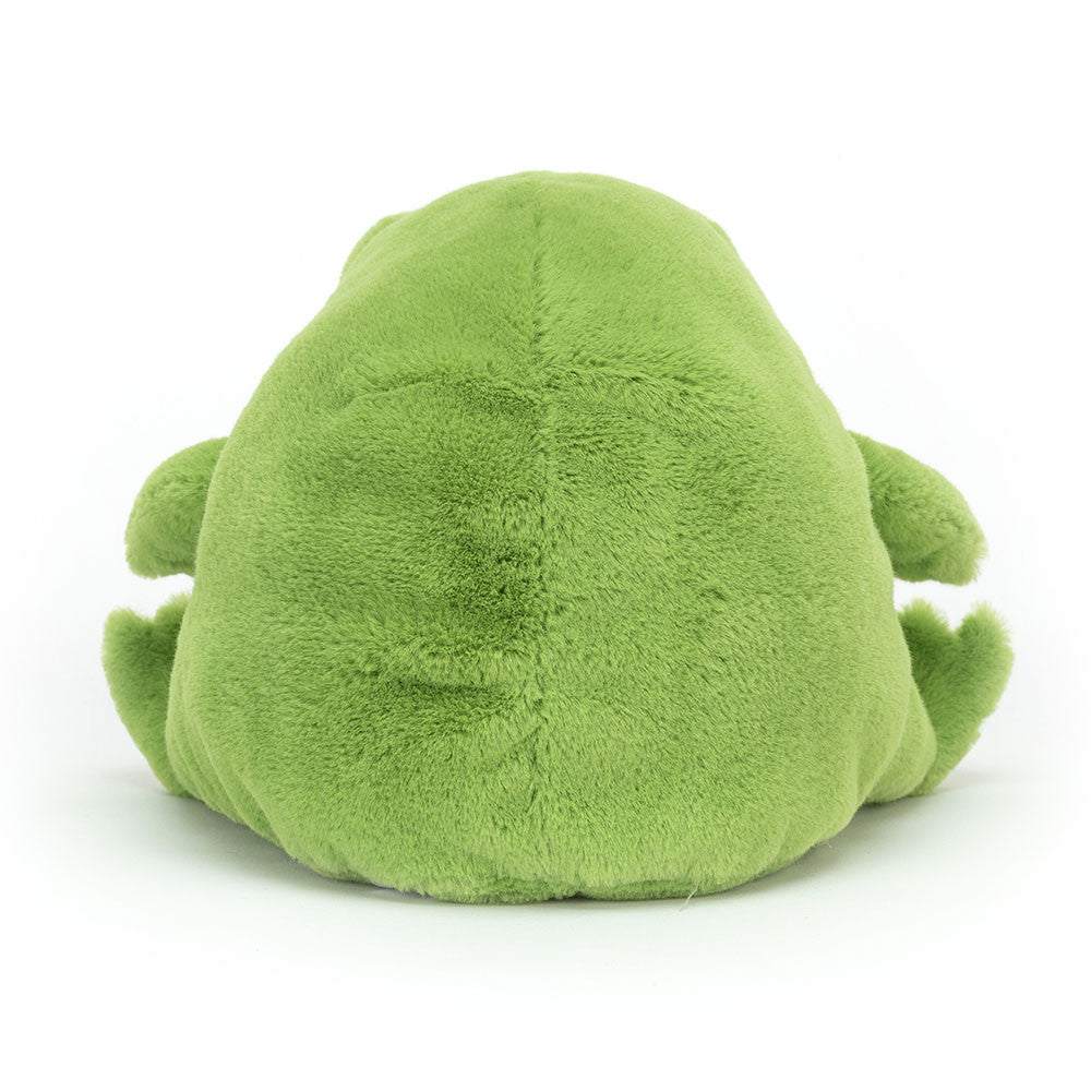 Ricky Rain Frog (Medium)