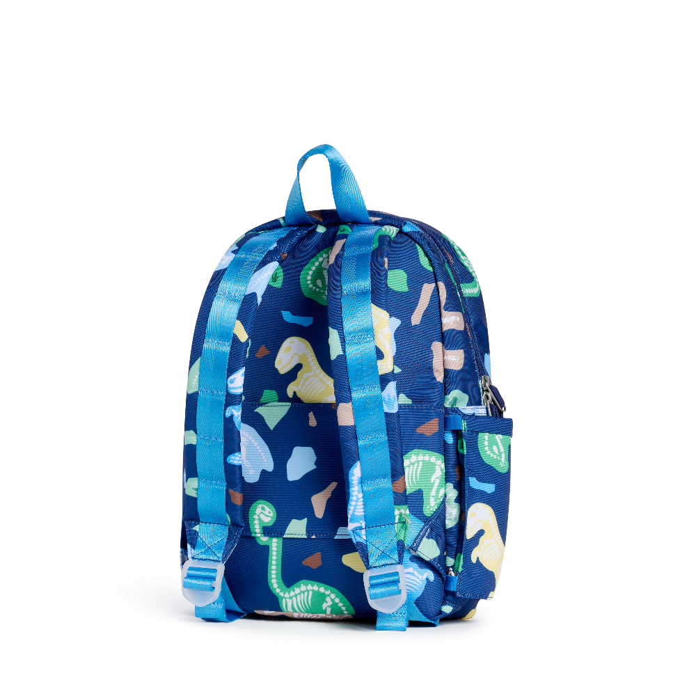 Kane Mini Backpack (Dino Fossils)