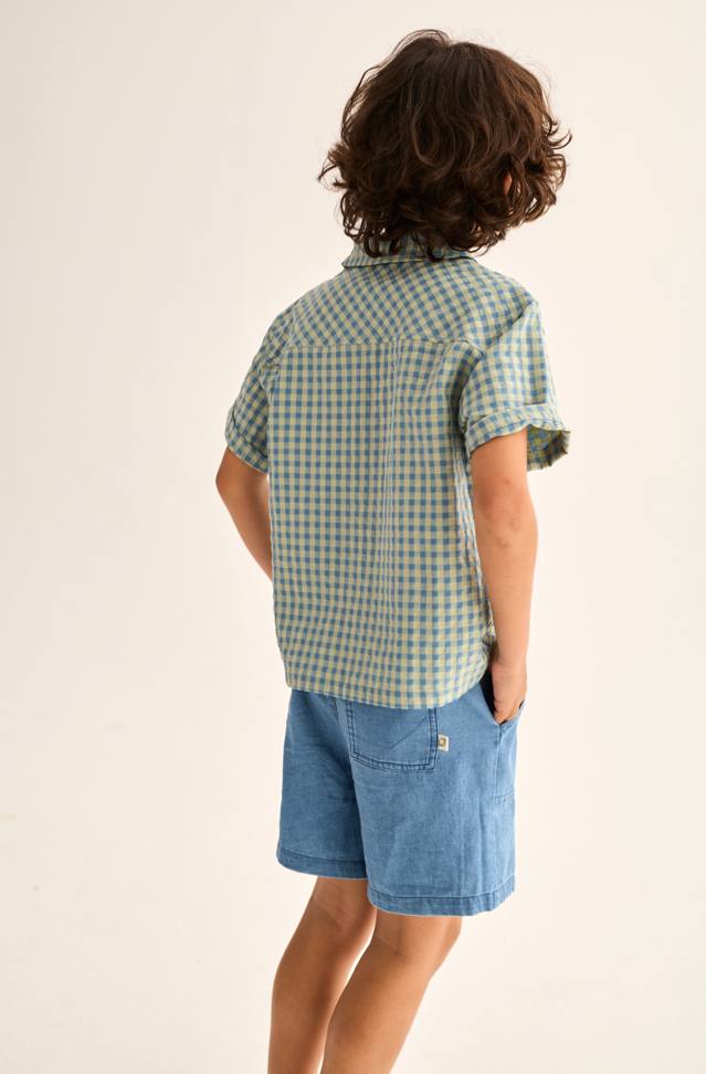 Gingham Cotton Shirt (Blue)