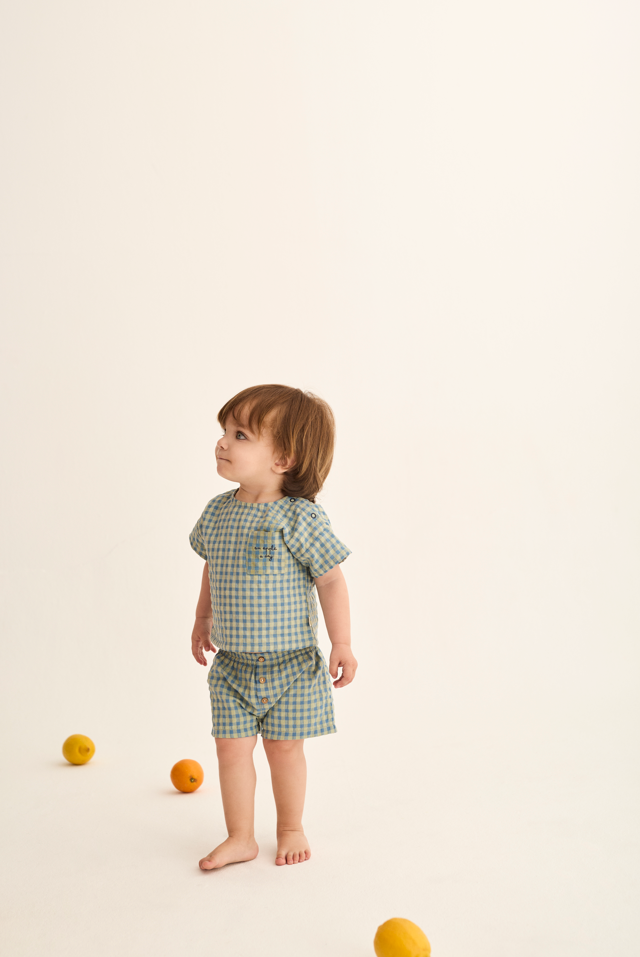 Gingham Cotton Shorts (Blue)