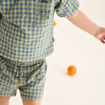 Gingham Cotton Shorts (Blue)