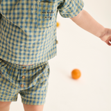 Gingham Cotton Shorts (Blue)
