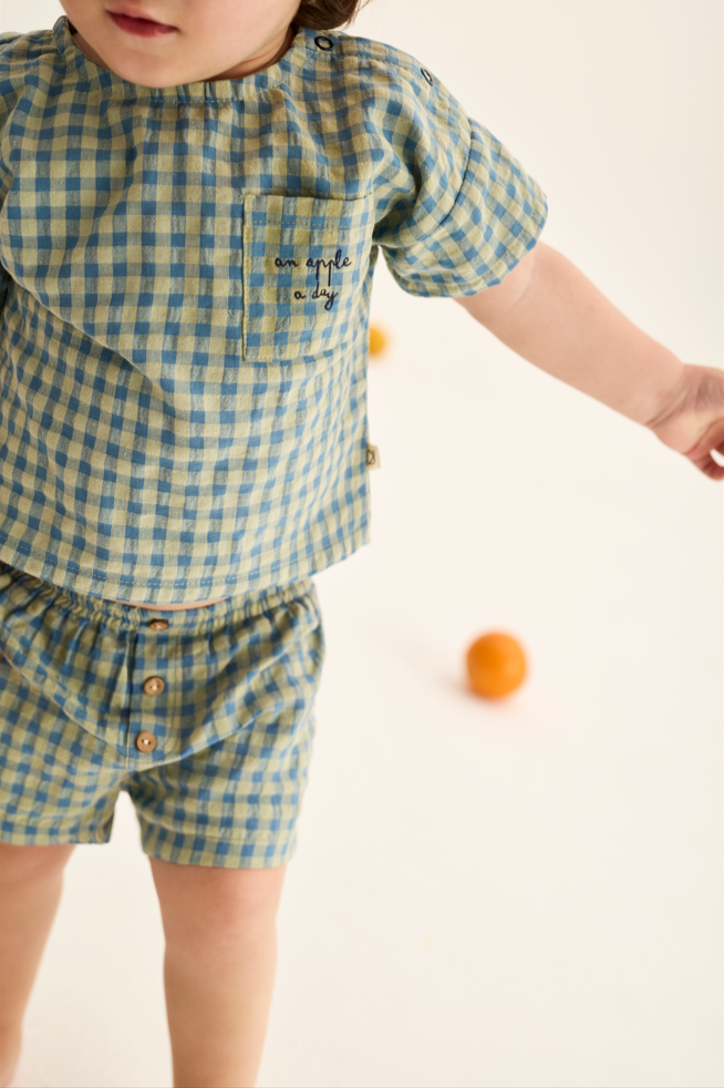 Gingham Cotton Shorts (Blue)