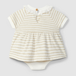 Striped Baby Dress w/Lace Collar